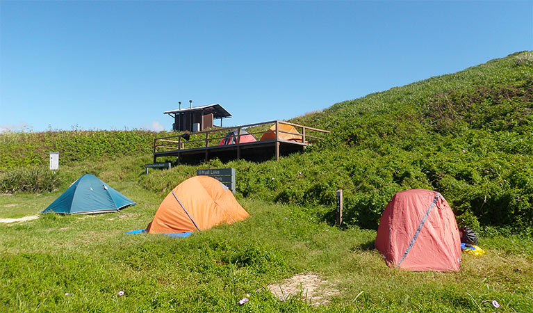 Broughton Island campground with tents set up. Photo:Susanne Callahan/OEH