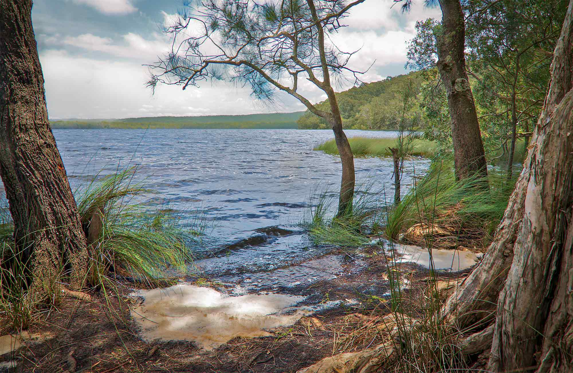 Bungarie Bay campground, Myall Lakes National Park. Photo: John Spencer/OEH