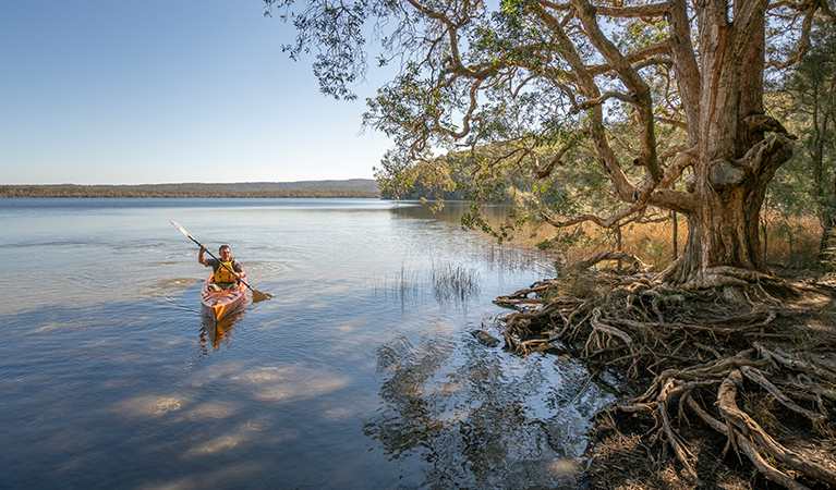 Visitor paddling across Boolambayte Lake, Bungarie Bay campground. Credit: John Spencer &copy; DPE