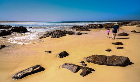 Dark Point, Myall Lakes National Park. Photo: Jodie Chalker/NSW Government