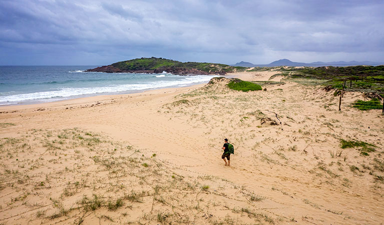 A man walks towards the beach along Dark Point walking track in Myall Lakes National Park. Photo: John Spencer &copy; DPIE