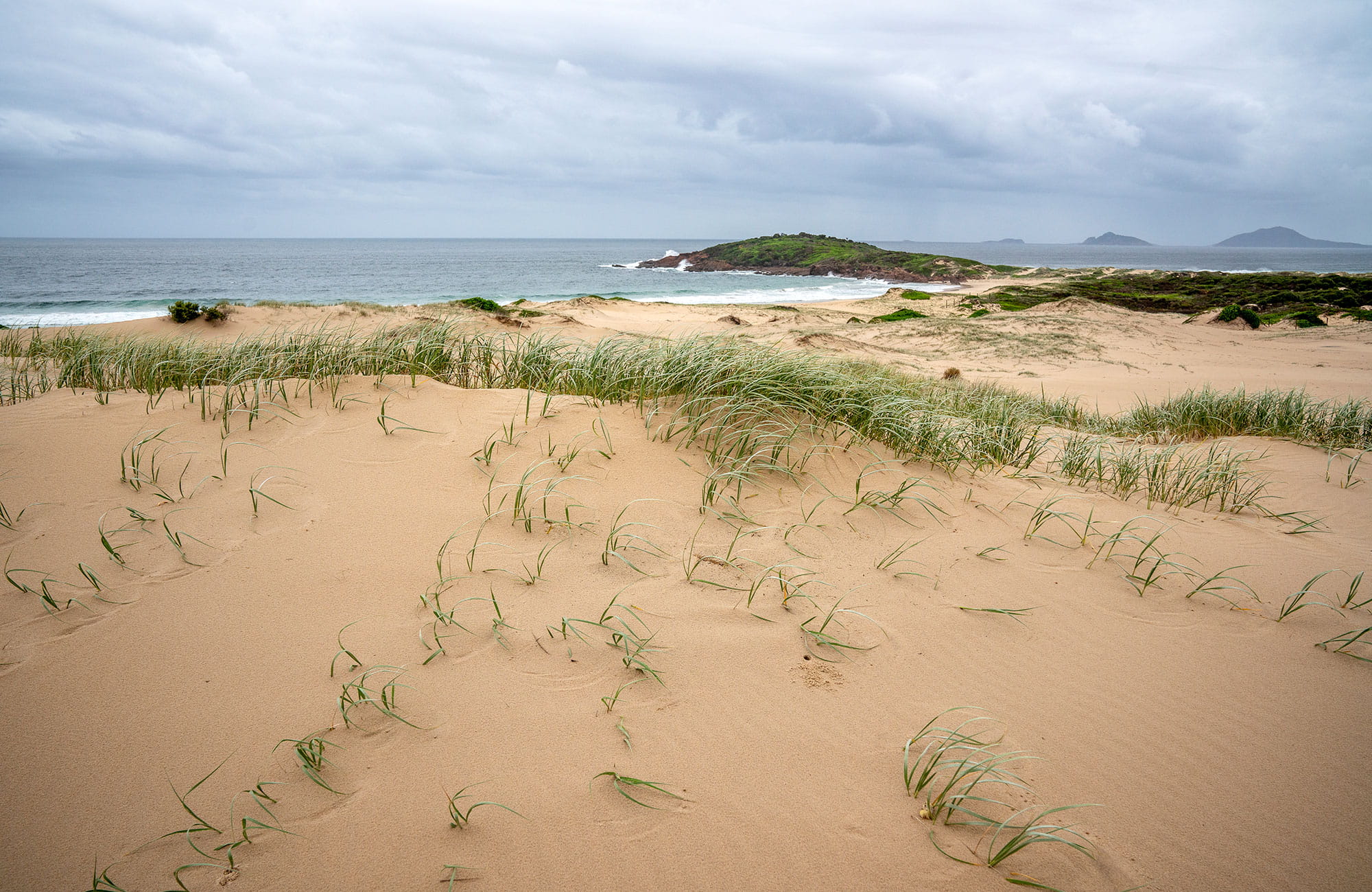 The view of the headland from the beach along Dark Point walking track in Myall Lakes National Park. Photo: John Spencer &copy; DPIE