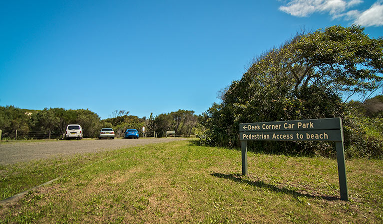 Dees Corner campground, Myall Lakes National Park. Photo: John Spencer/NSW Government