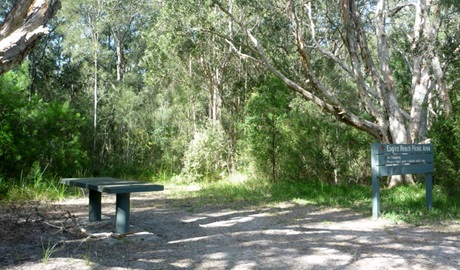 Engels Reach Picnic Area, Myall Lakes National Park. Photo: Katrina Gray