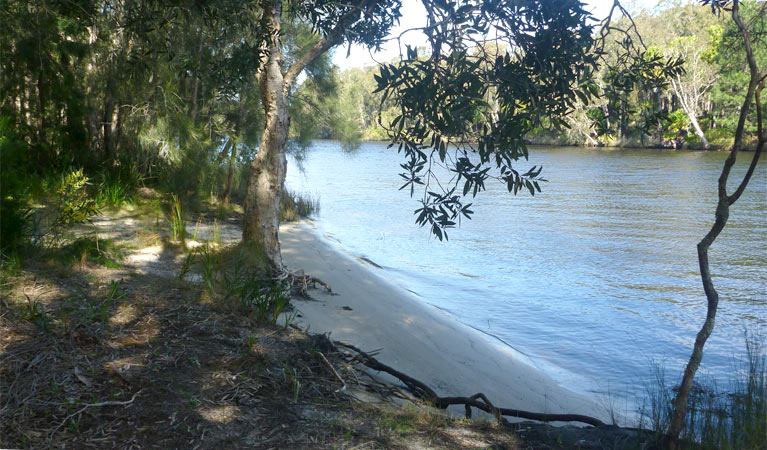 Engels Reach Picnic Area, Myall Lakes National Park. Photo: Katrina Gray