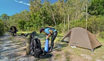 Johnsons Beach campground, Myall Lakes National Park. Photo: John Spencer/NSW Government