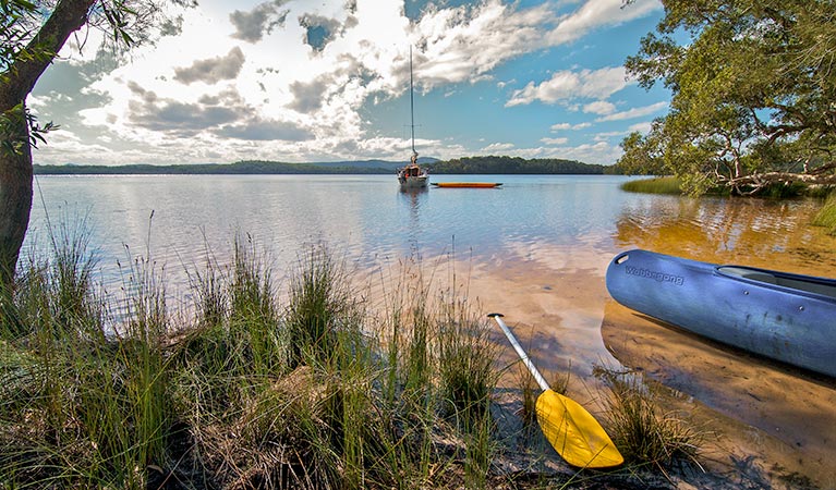 Johnsons Beach campground, Myall Lakes National Park. Photo: John Spencer/NSW Government