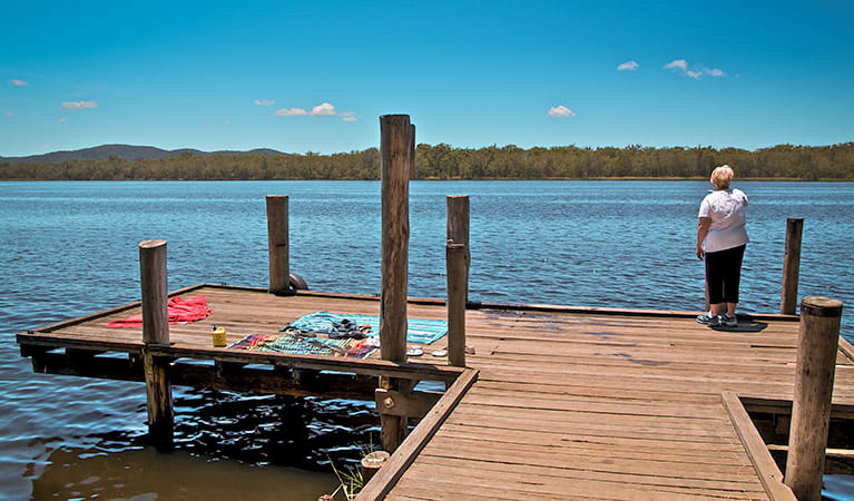 Korsmans Landing campground, Myall Lakes National Park. Photo: John Spencer/NSW Government