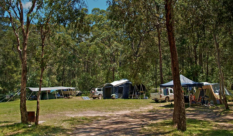 Korsmans Landing campground, Myall Lakes National Park. Photo: John Spencer/NSW Government