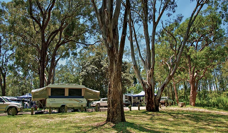 Korsmans Landing campground, Myall Lakes National Park. Photo: John Spencer/NSW Government