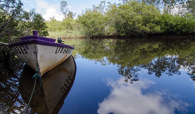 Pipers Creek picnic area, Myall Lakes National Park. Photo: John Spencer