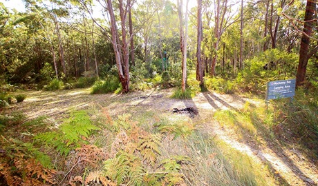 Mackaway Bay campground, Myall Lakes National Park. Photo: OEH