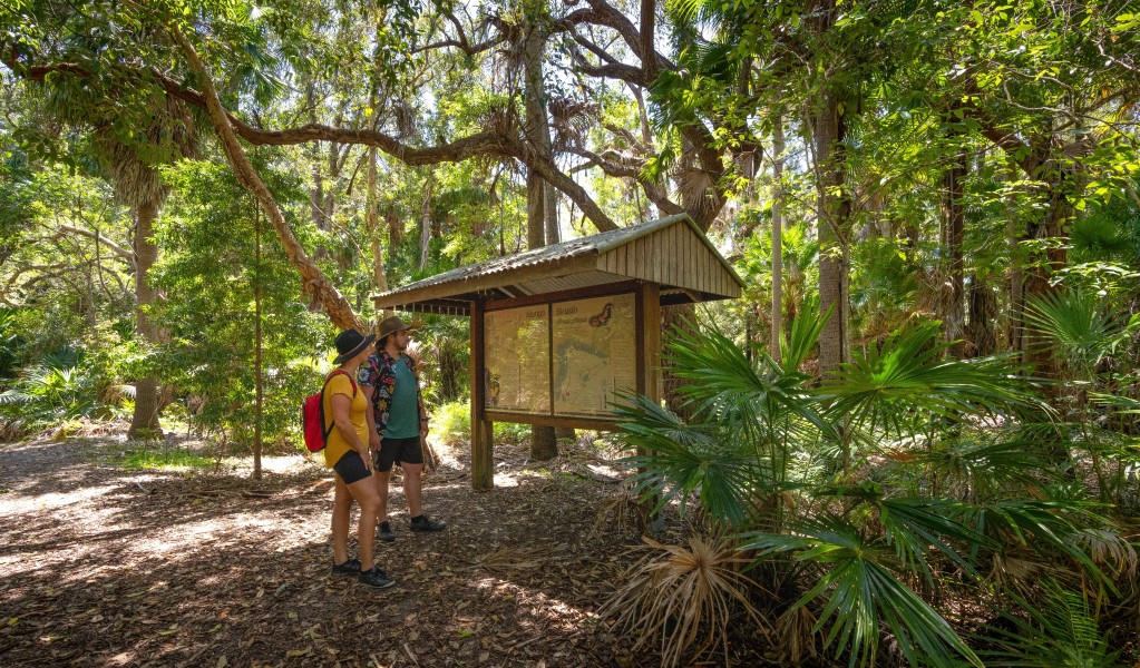 Two people looking at a display shelter along Mungo Rainforest walk in Myall Lakes National Park. Photo: John Spencer &copy; DCCEEW