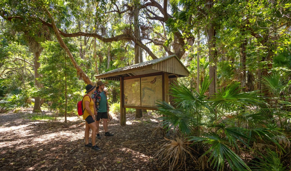 Mungo Rainforest walk, Myall Lakes National Park. Photo: John Spencer &copy; OEH