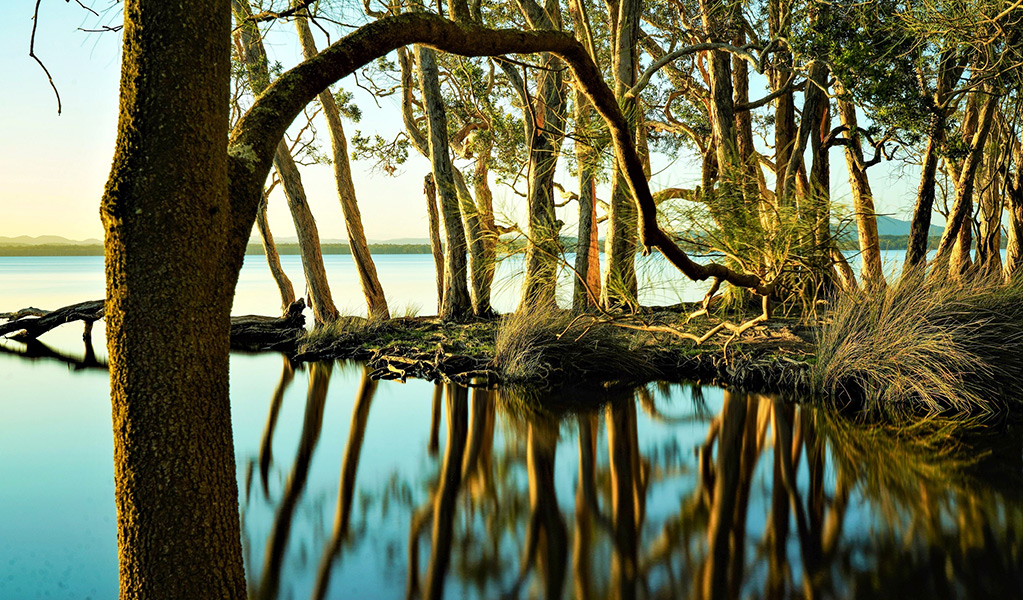 Sunset at the lake near The Wells campground in Myall Lakes National Park. Credit: Anita Catharell &copy; Anita Catharell