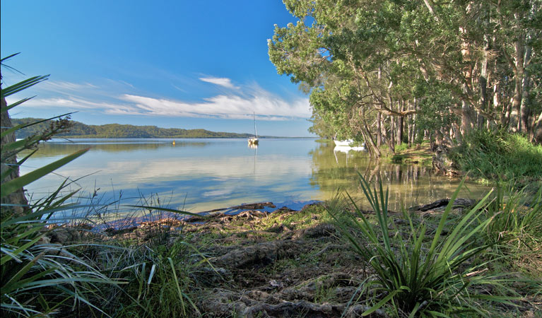 Black Oaks picnic area, Myall Lakes National Park. Photo: John Spencer