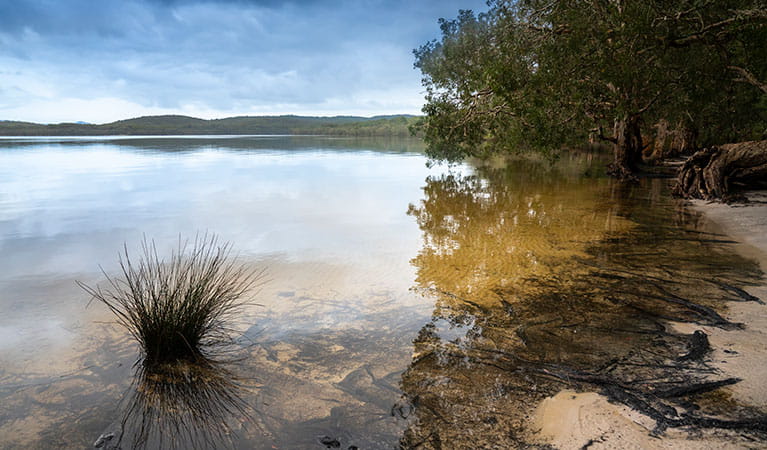 Sandy shallows of Two Mile Lake with wooded shoreline and views to the distant shore. Photo: John Spencer &copy; DPIE