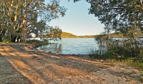 Hearts Point picnic area, Myall Lakes National Park. Photo: John Spencer &copy; DPIE