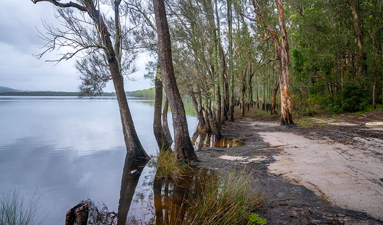 Joes Cove campground and Two Mile Lake in Myall Lakes National Park. Photo: John Spencer &copy; DPIE