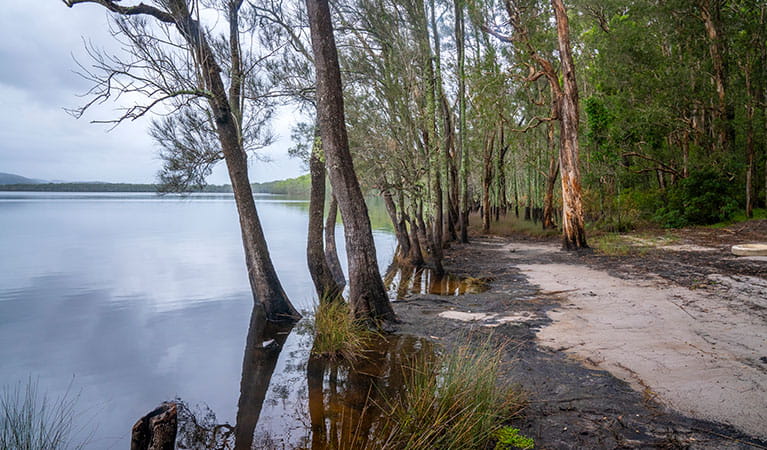 Joes Cove campground and Two Mile Lake in Myall Lakes National Park. Photo: John Spencer &copy; DPIE