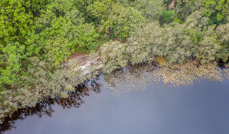 Aerial view of Joes Cove campground, set amongst bushland on the shores of Two Mile Lake in Myall Lakes National Park. Photo: John Spencer &copy; DPIE 