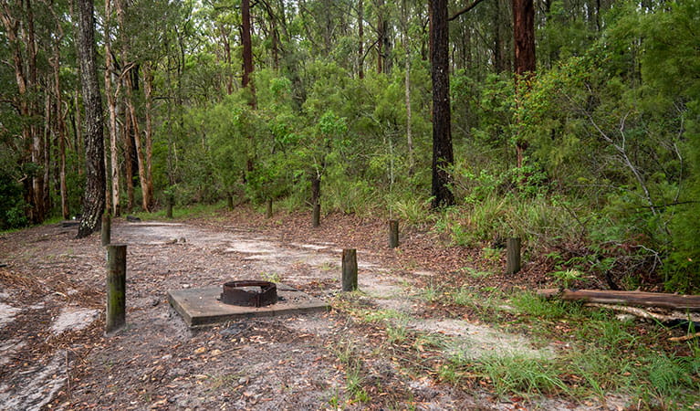 A fire ring at 1 of the 2 campsites in Joes Cove campground, Myall Lakes National Park. Photo: John Spencer &copy; DPIE