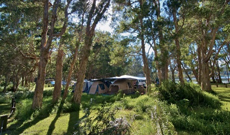 Neranie campground tents, Myall Lakes National Park. Photo:John Spencer/DPIE