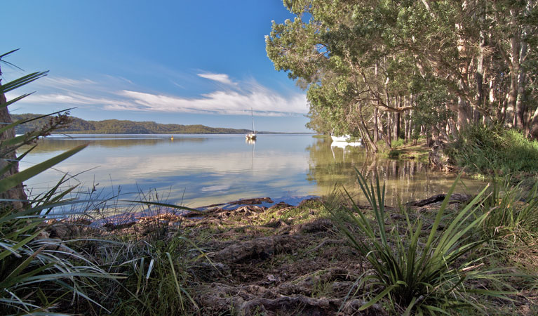 Neranie campground waters, Myall Lakes National Park. Photo: John Spencer/DPIE