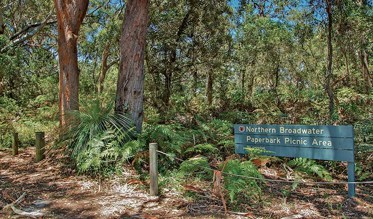 Northern Broadwater picnic area, Myall Lakes National Park. Photo: John Spencer