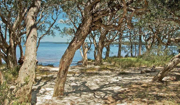 Northern Broadwater picnic area, Myall Lakes National Park. Photo: John Spencer