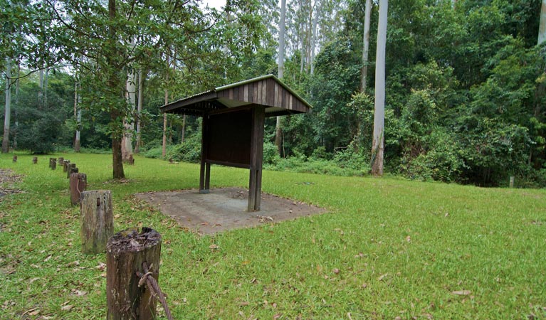 O'Sullivans picnic area park, Myall Lakes National Park. Photo: John Spencer