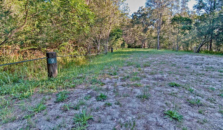 Shelly Beach campground, Myall Lakes National Park. Photo: John Spencer/DPIE