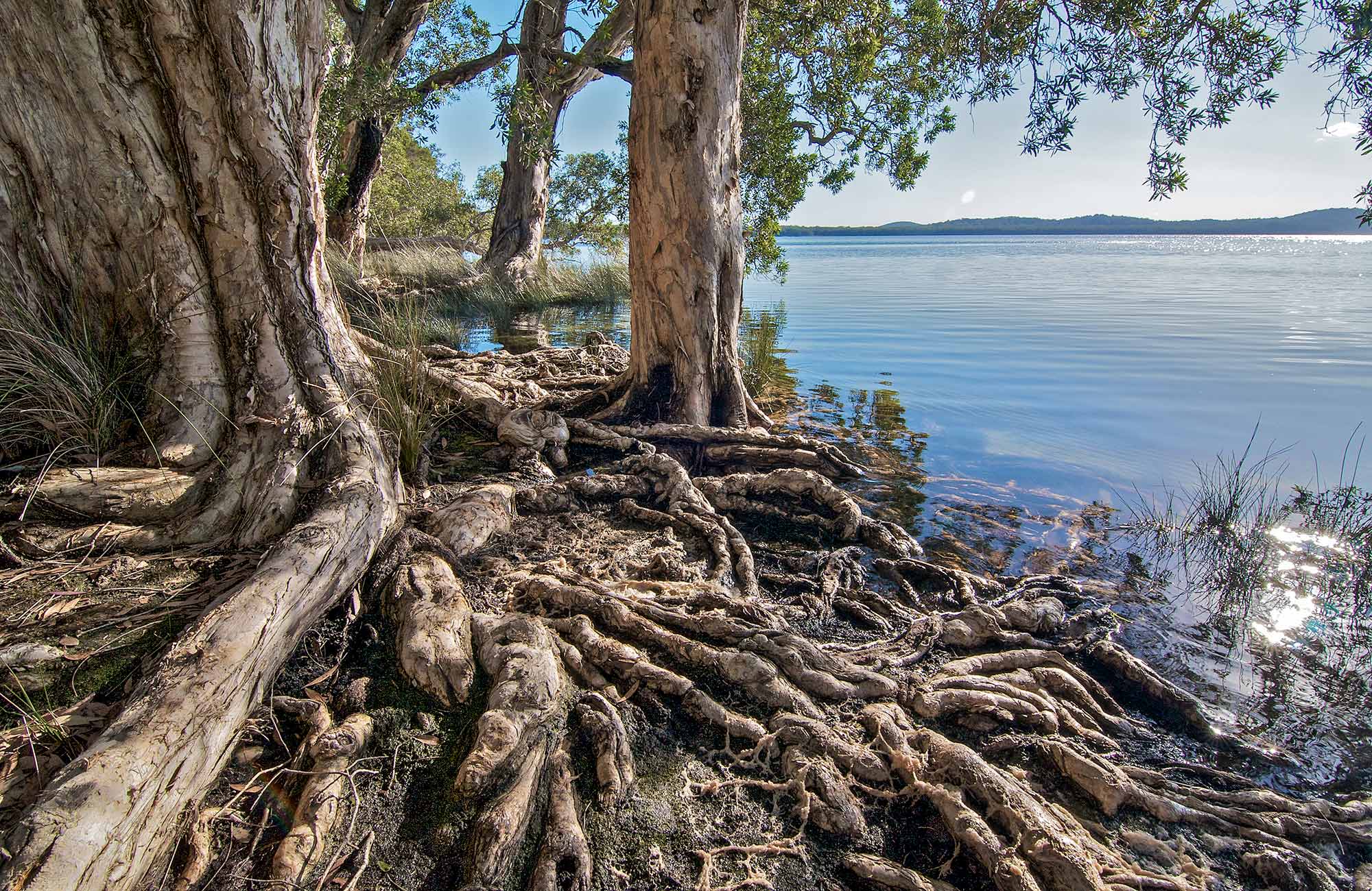 Shelly Beach campground, Myall Lakes National Park. Photo: John Spencer