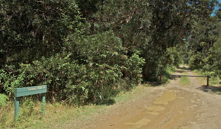 Tamboi walking track entrance, Myall Lakes National Park. Photo: John Spencer