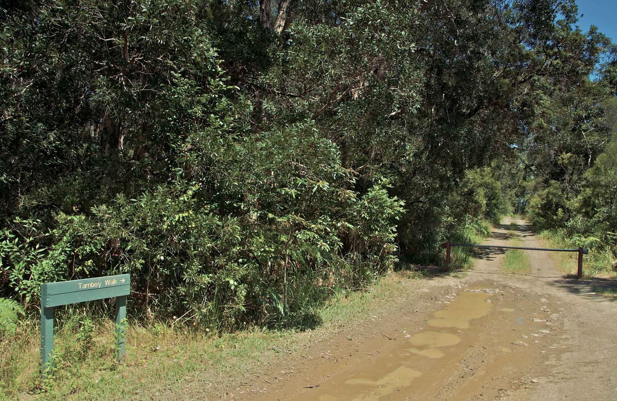 Tamboi walking track entrance hero, Myall Lakes National Park. Photo: John Spencer
