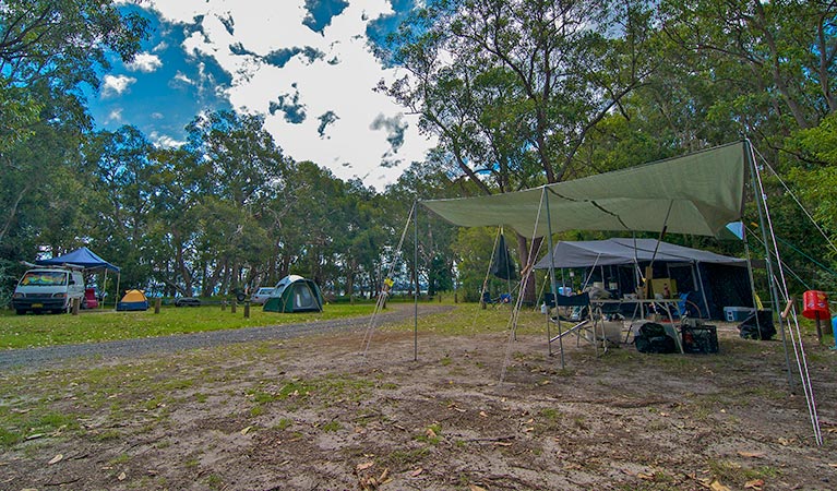 White Tree Bay campground, Myall Lakes National Park. Photo: John Spencer/DPIE