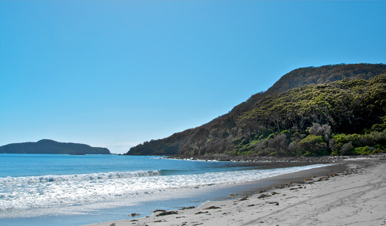 Yacaaba Headland walking track beach, Myall Lakes National Park. Photo: John Spencer