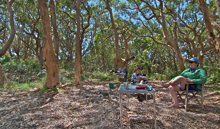 Stewart and Lloyds campground, Myall Lakes National Park. Photo: John Spencer/NSW Government
