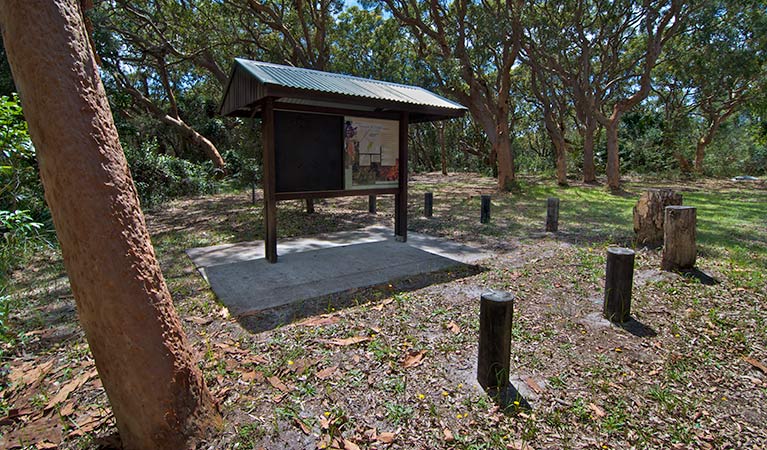 Stewart and Lloyds campground, Myall Lakes National Park. Photo: John Spencer/NSW Government