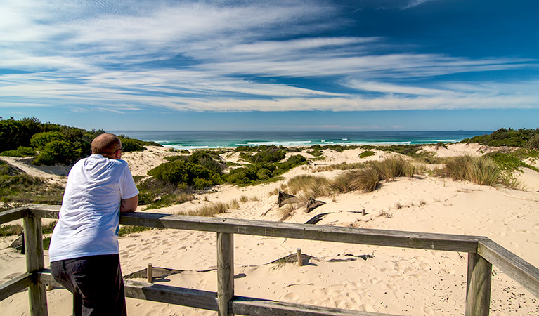 Submarine Beach walking track, Myall Lakes National Park. Photo: John Spencer &copy; OEH