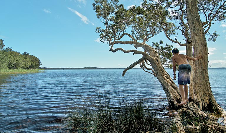 Wells campground, Myall Lakes National Park. Photo: John Spencer/NSW Government