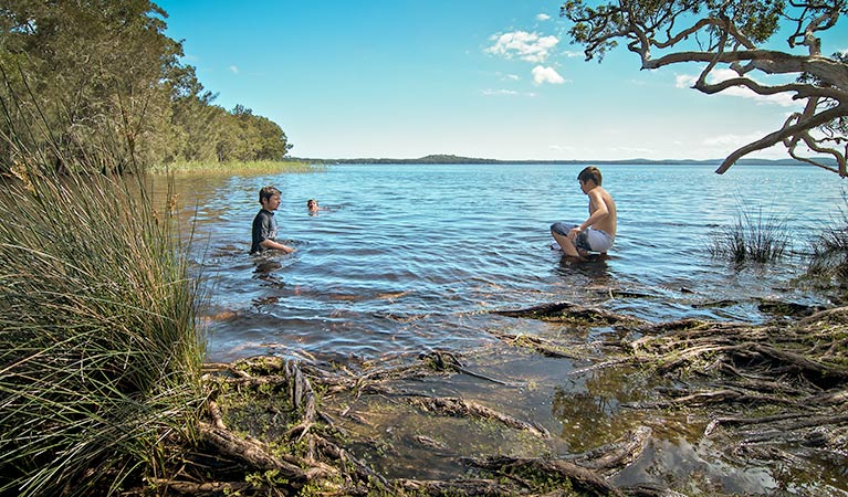 Wells campground, Myall Lakes National Park. Photo: John Spencer/NSW Government