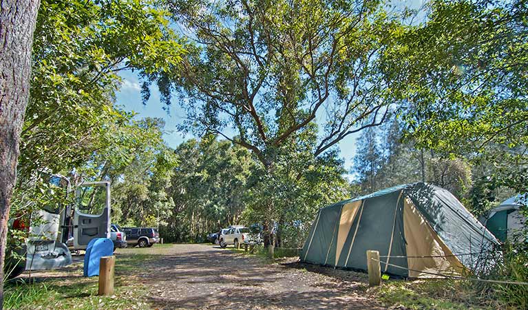 Wells campground, Myall Lakes National Park. Photo: John Spencer/NSW Government