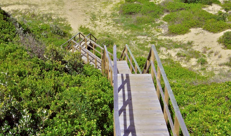 Treachery Headland Walk, Myall Lakes National Park. Photo: John Spencer