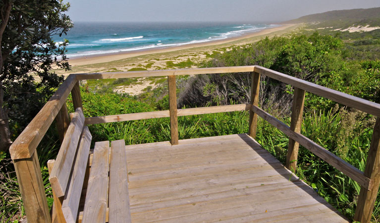 Treachery Headland Walk, Myall Lakes National Park. Photo: John Spencer