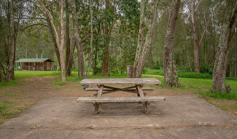 A picnic table with amenities block in the background at Violet Hill campground in Myall Lakes National Park. Photo: John Spencer &copy; DPIE