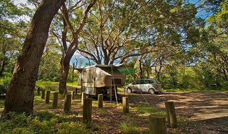 Yagon campground, Myall Lakes National Park. Photo: John Spencer/NSW Government