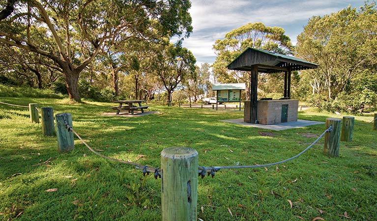 Yagon campground, Myall Lakes National Park. Photo: John Spencer/NSW Government