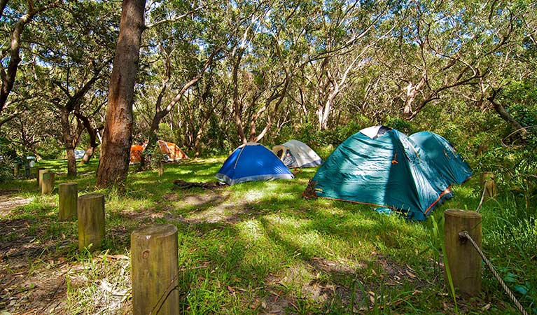 Yagon campground, Myall Lakes National Park. Photo: John Spencer/NSW Government