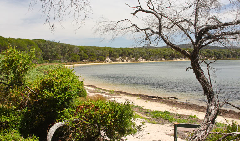 Wonboyn Lake, Nadgee Nature Reserve. Photo Lyn Evans